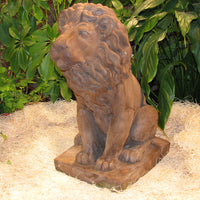 Male Lion