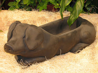 Pig Planter