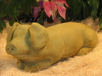 Reclining Pig